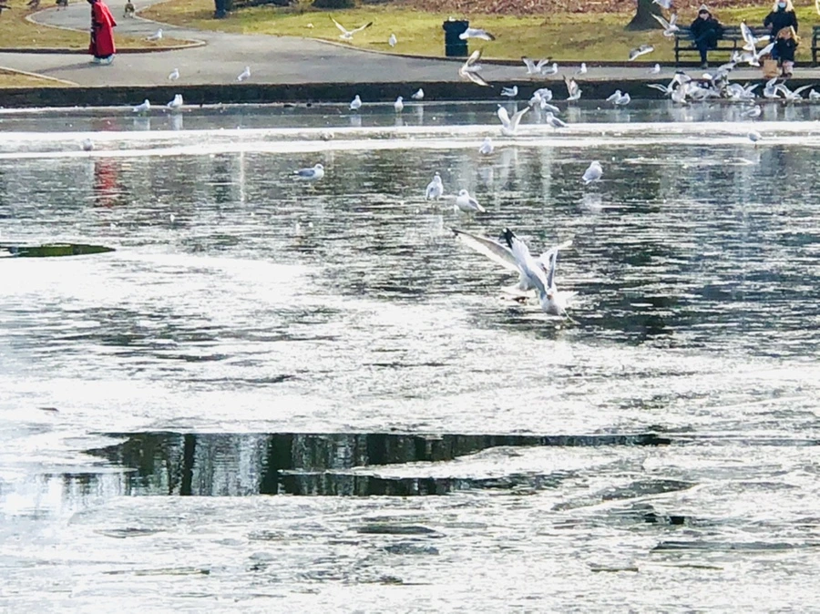 IMG_2045.jpg?type=w966