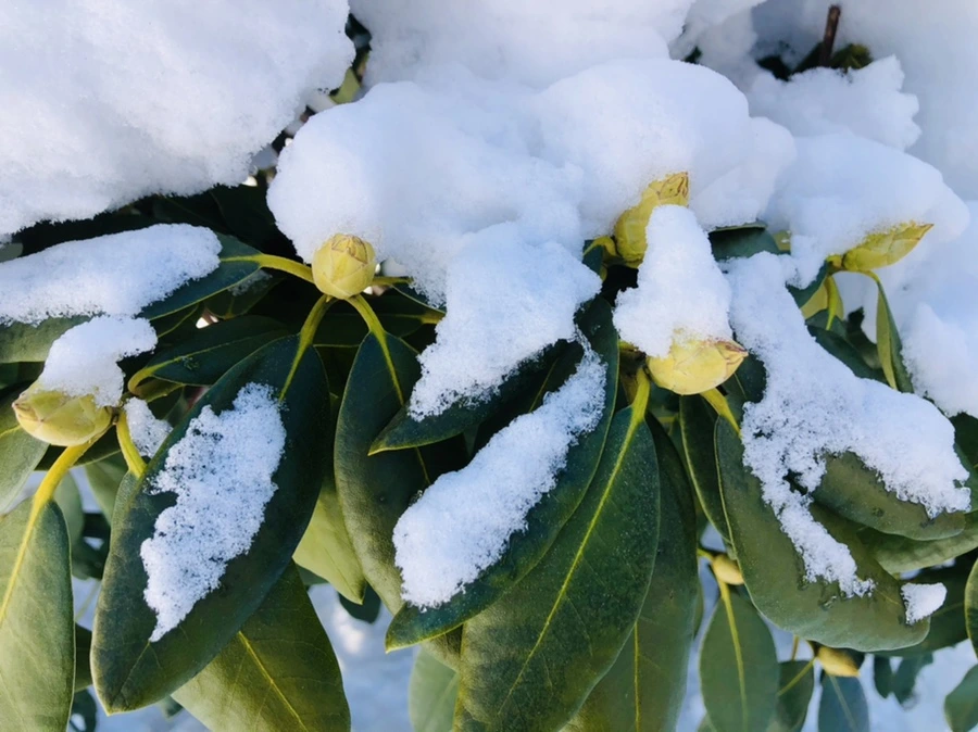 IMG_1394.jpg?type=w966