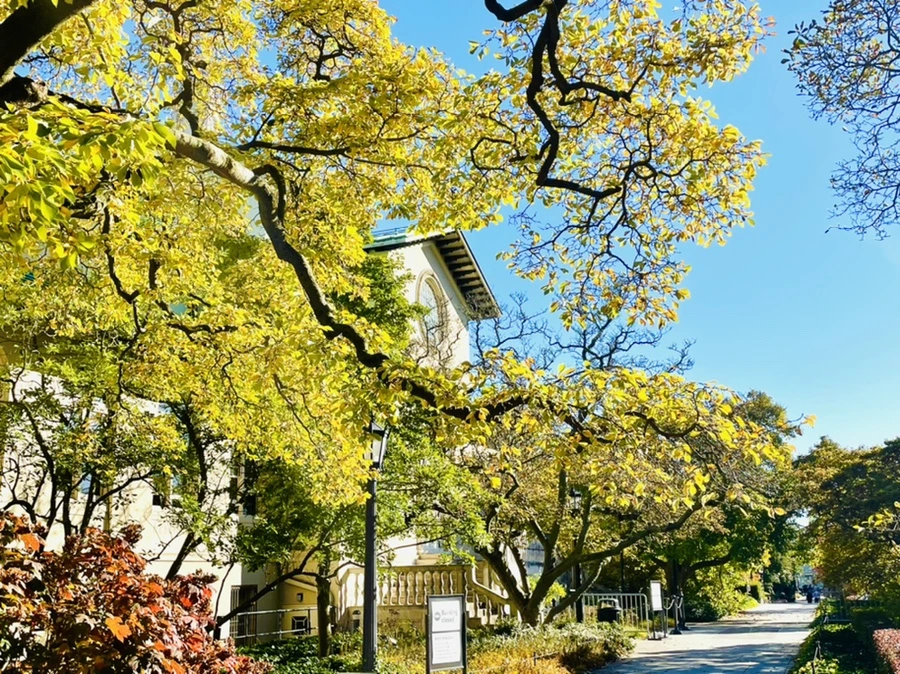 IMG_2040.jpg?type=w966