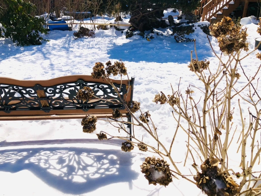 IMG_3999.jpg?type=w966