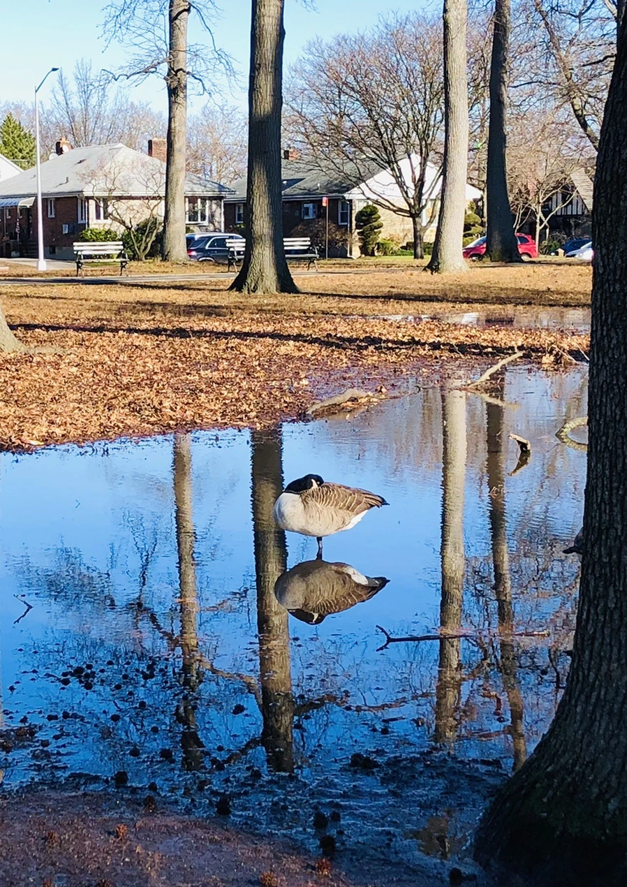 IMG_9790.jpg?type=w966