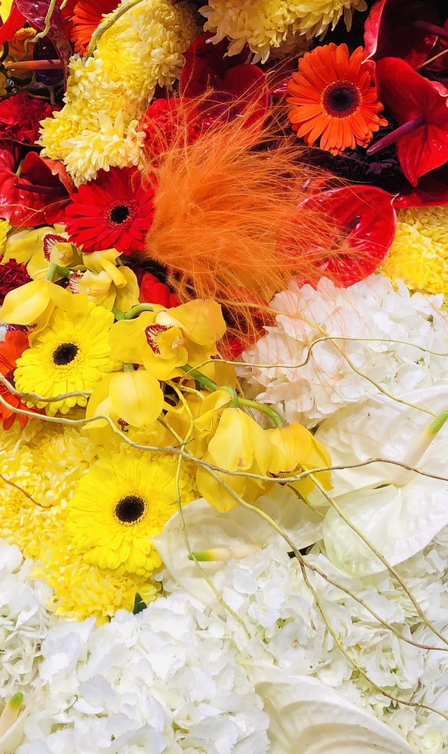 IMG_1871.jpg?type=w966