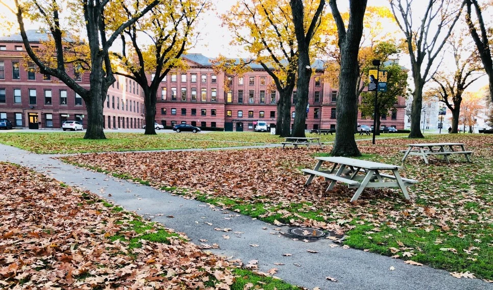 IMG_E1435.jpg?type=w966