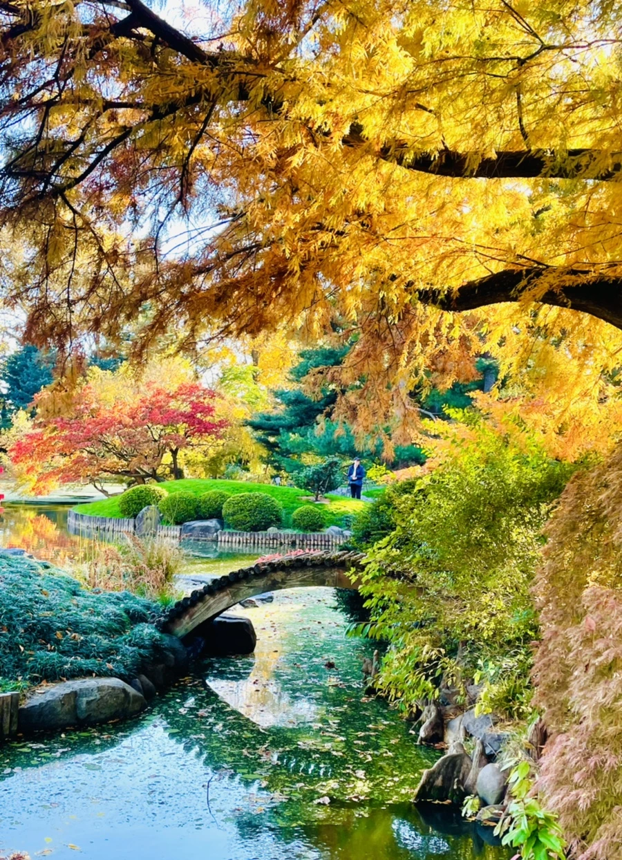 IMG_2109.jpg?type=w966