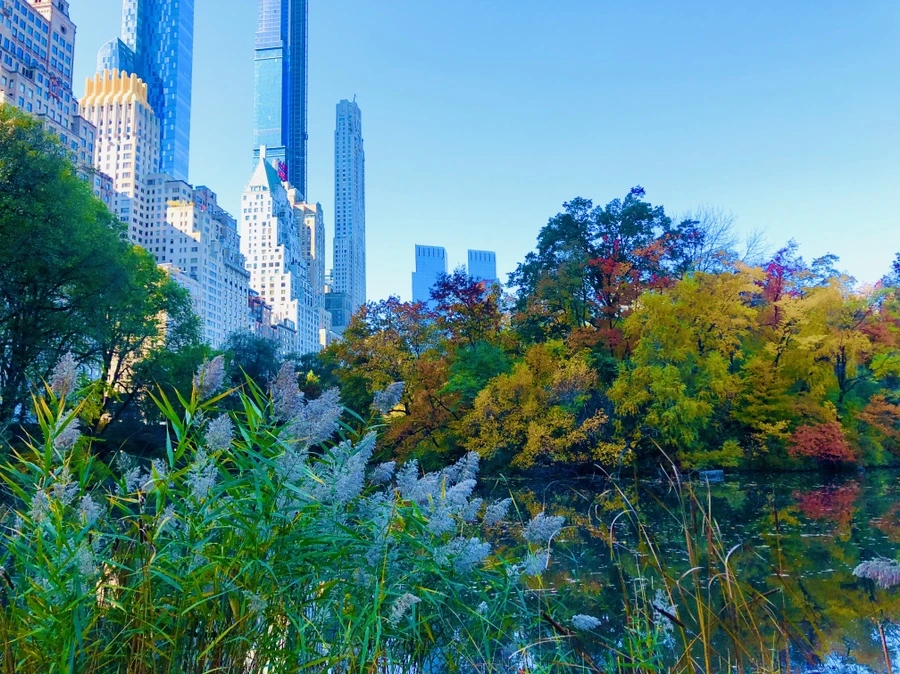 IMG_3758.jpg?type=w966