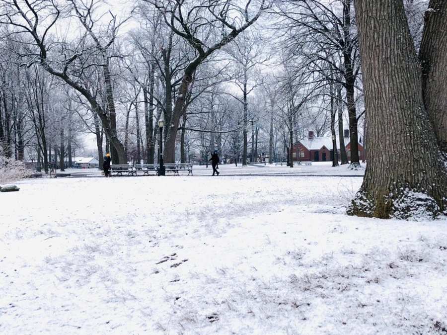 IMG_4486.jpg?type=w966