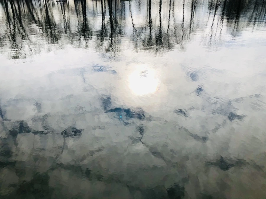 IMG_9858.jpg?type=w966