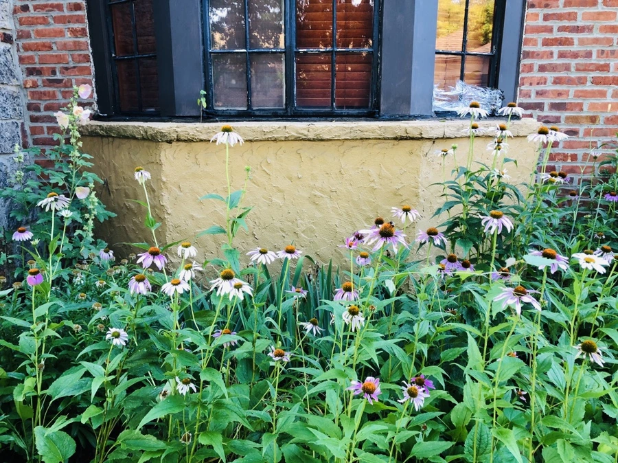 IMG_2159.jpg?type=w966