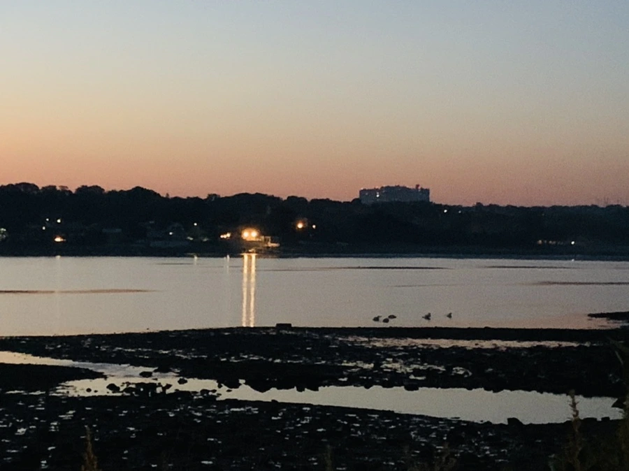 IMG_6999.jpg?type=w966