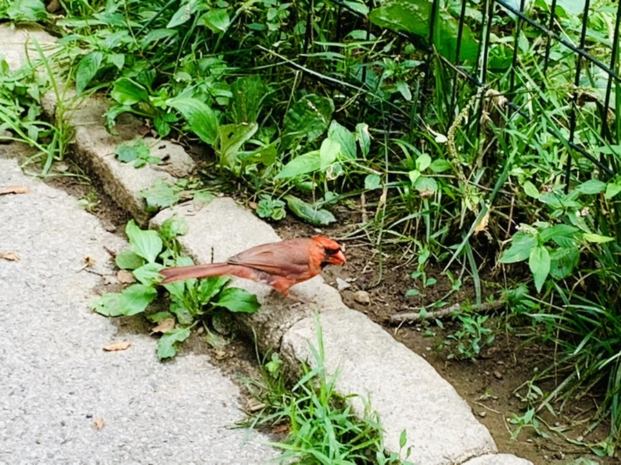 IMG_9919.jpg?type=w966