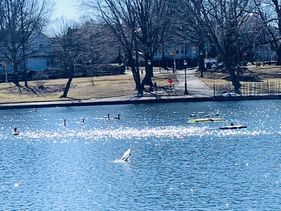 IMG_7645.jpg?type=w966