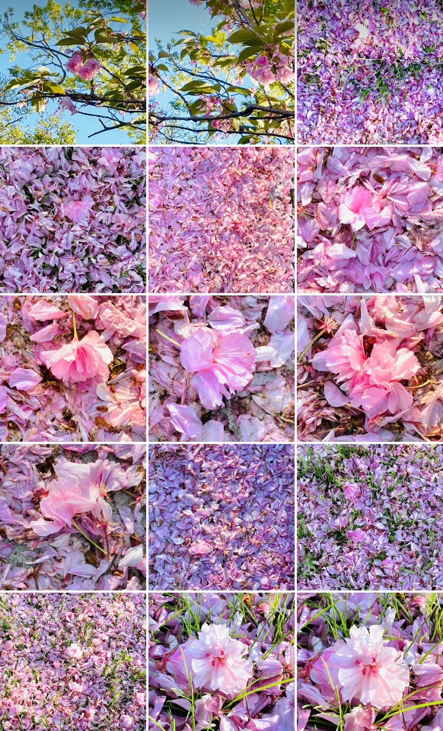 IMG_6235.jpg?type=w966