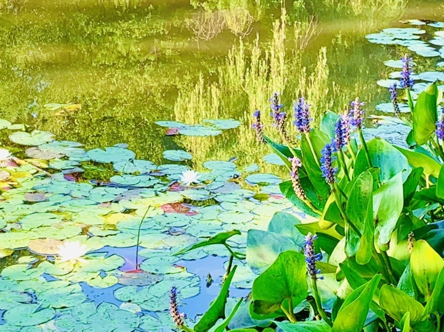 krbKBEC_WEQtsZNNHj3YRwyK3wo