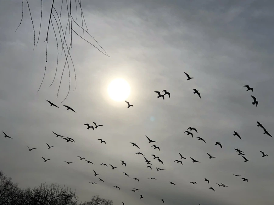 IMG_1992.jpg?type=w966