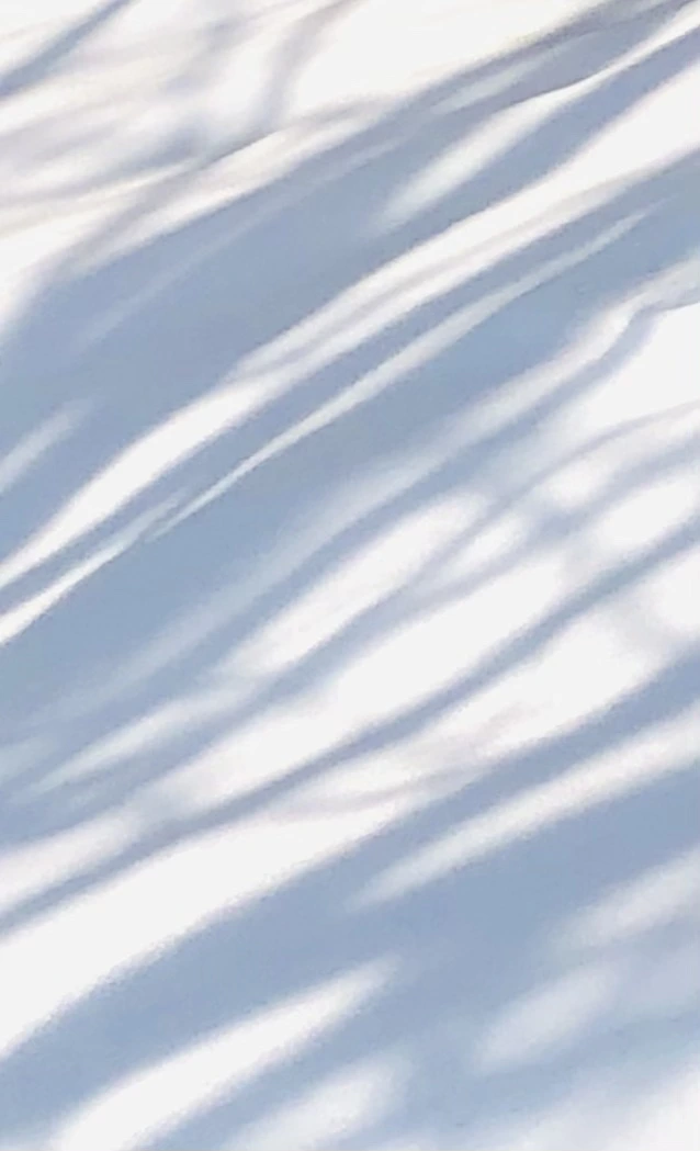 IMG_7758.jpg?type=w966