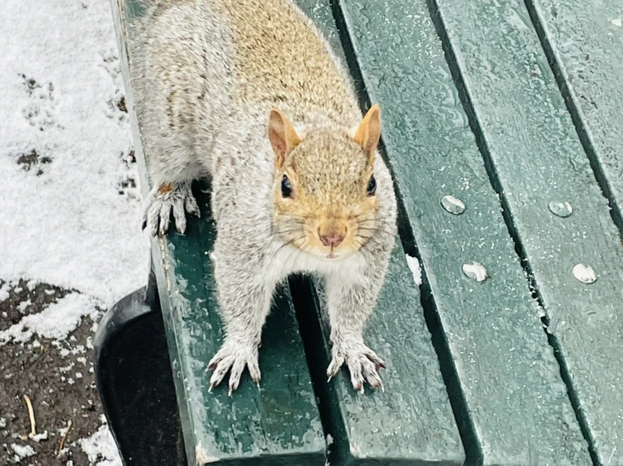 IMG_0749.jpg?type=w966