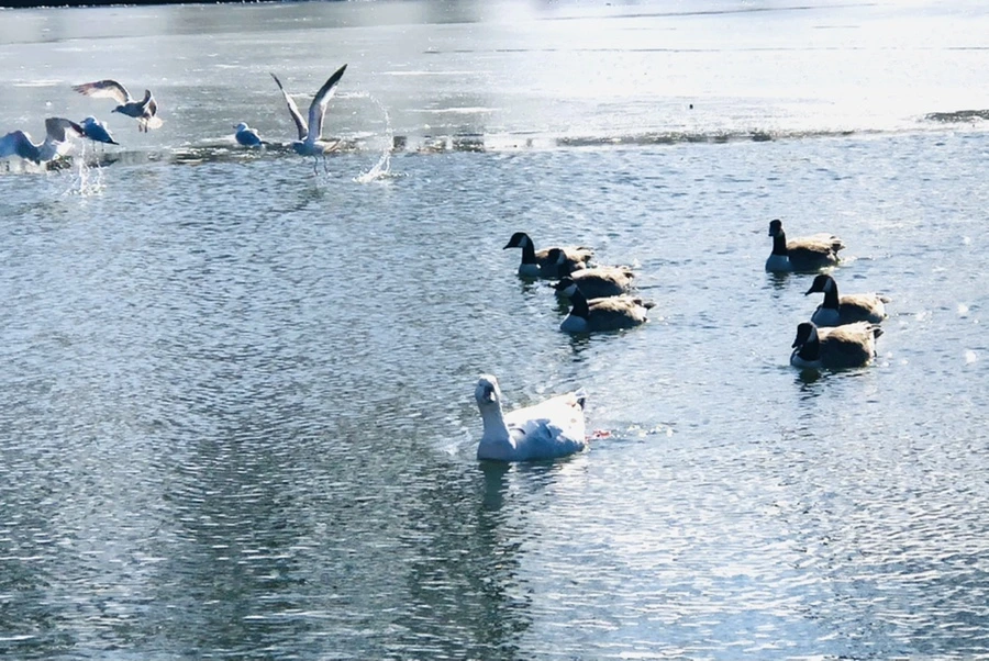 IMG_6717.jpg?type=w966