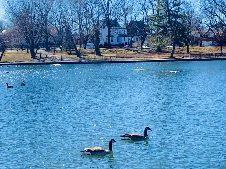 IMG_7594.jpg?type=w966