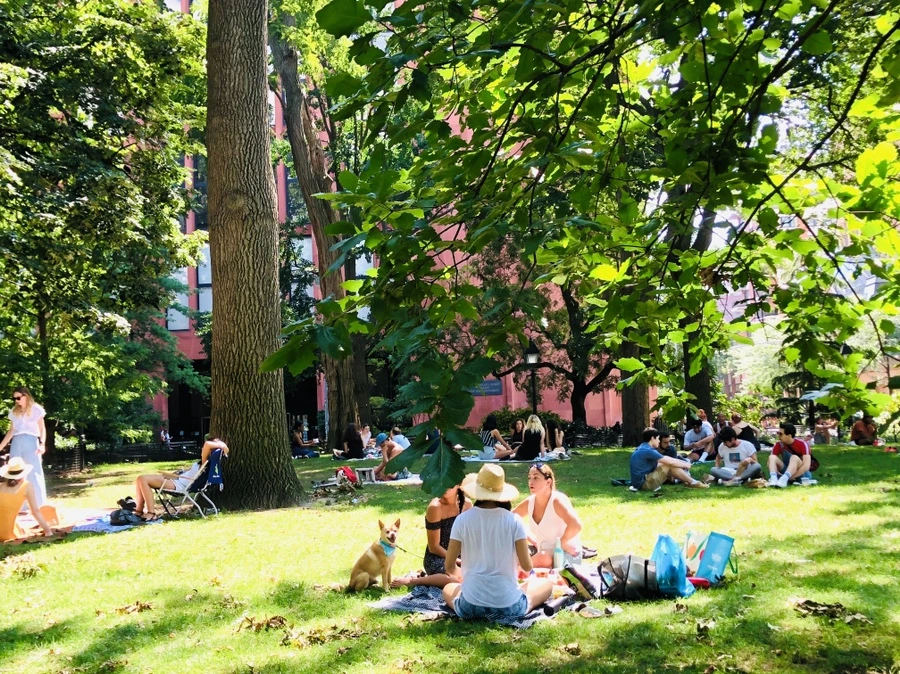 IMG_6382.jpg?type=w966