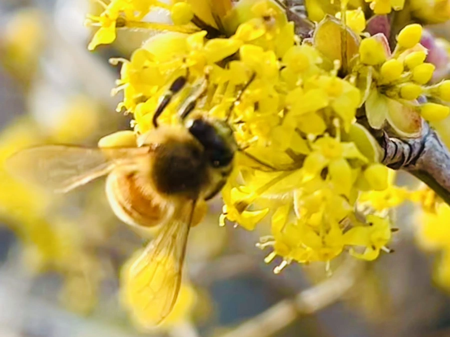 IMG_5934.jpg?type=w966