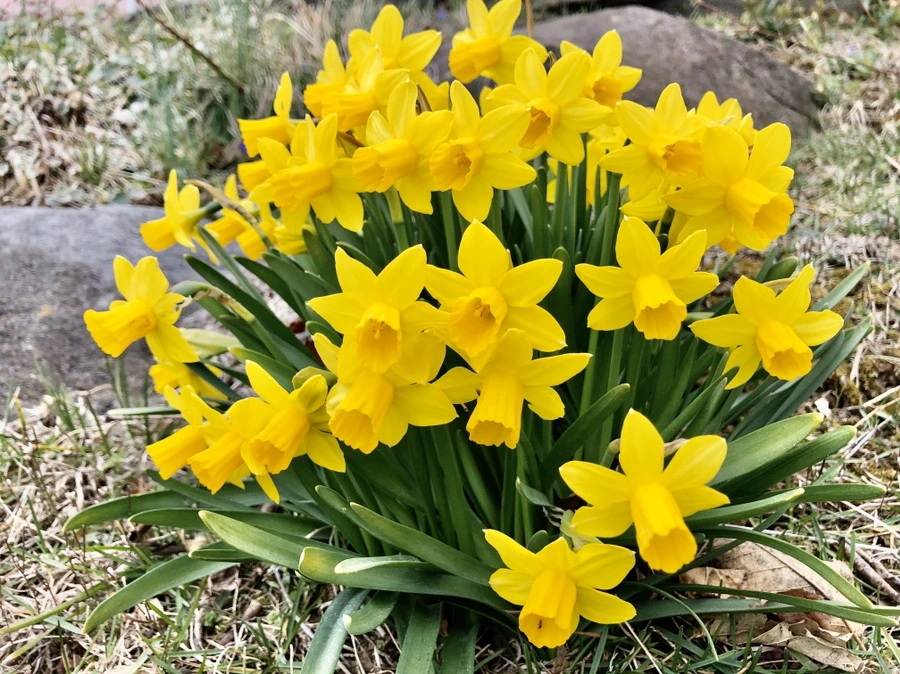 IMG_5995.jpg?type=w966