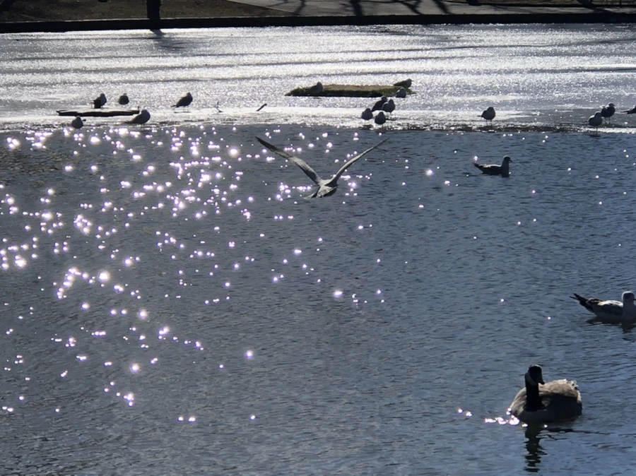 IMG_6735.jpg?type=w966