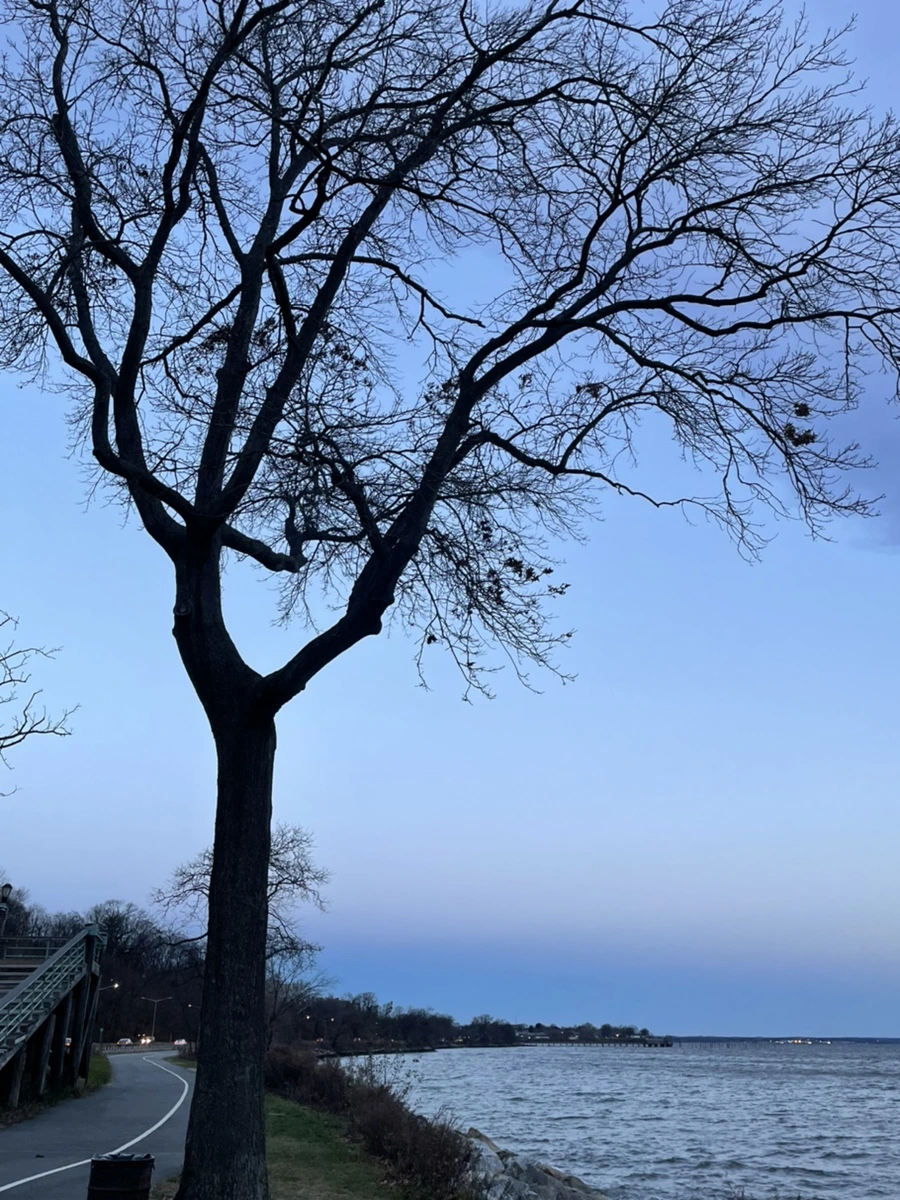 IMG_6568.jpg?type=w966