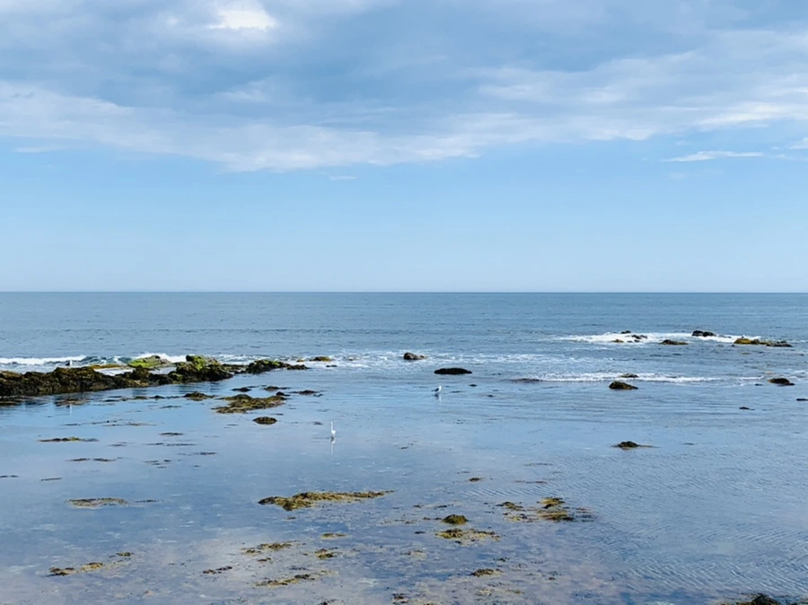 IMG_2789.jpg?type=w966