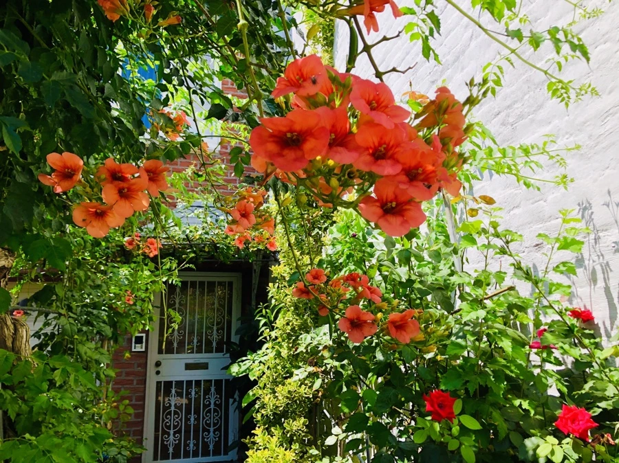 IMG_5591.jpg?type=w966