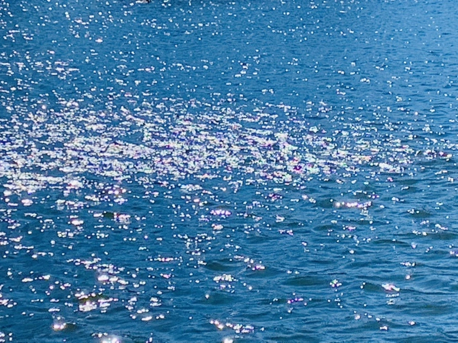 IMG_7574.jpg?type=w966