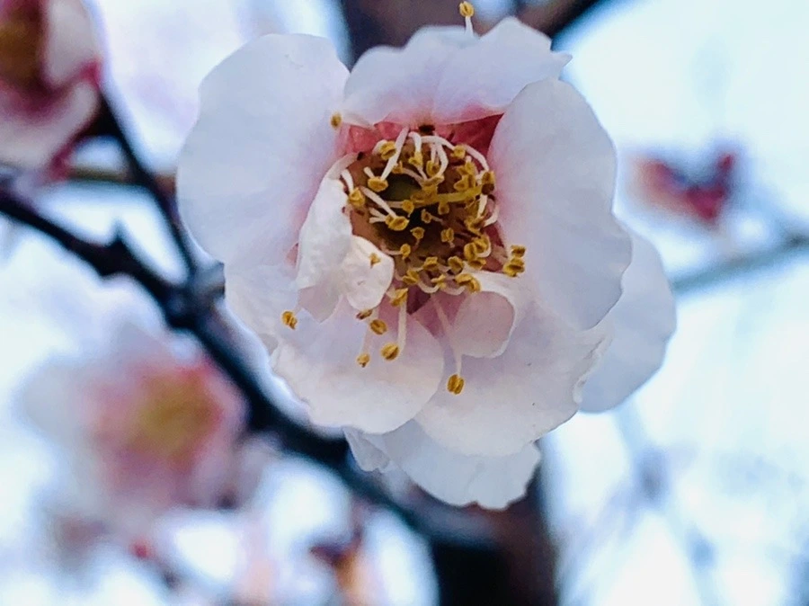 7aUabvGWxxeFfG9LhFDeHz1BozI