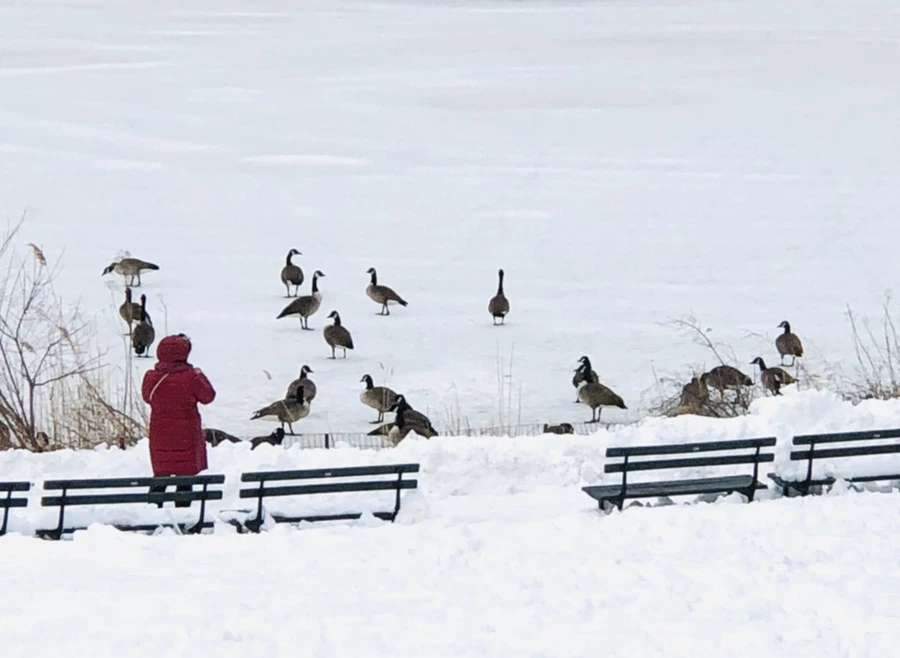 IMG_9508.jpg?type=w966