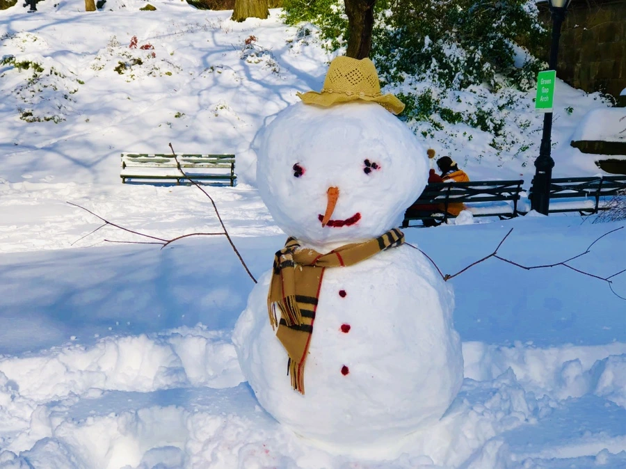 IMG_7036.jpg?type=w966