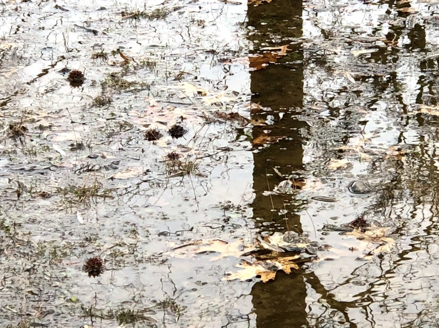 IMG_3387.jpg?type=w966