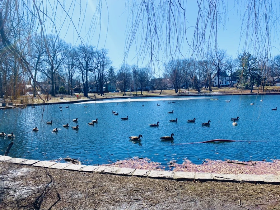 IMG_6842.jpg?type=w966