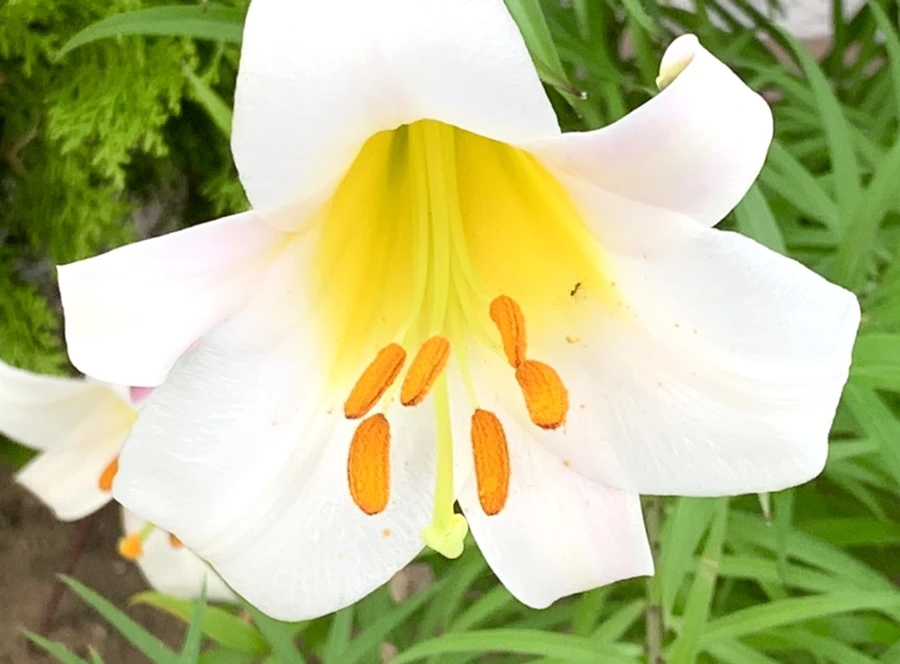 IMG_5921.jpg?type=w966