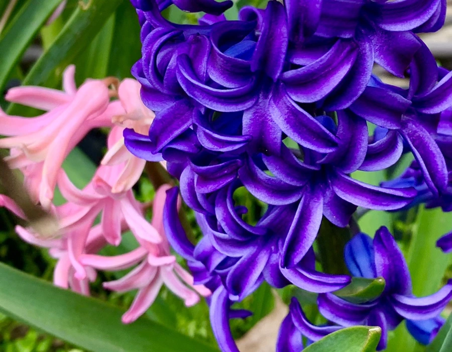 IMG_5873.jpg?type=w966