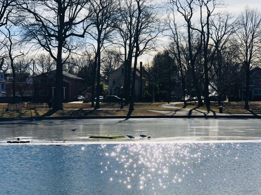 IMG_5419.jpg?type=w966