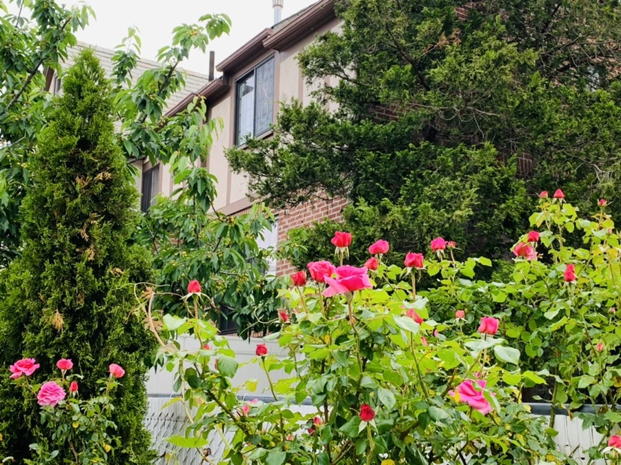 IMG_4867.jpg?type=w966