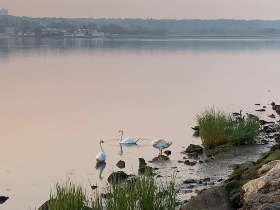 IMG_2010.jpg?type=w966