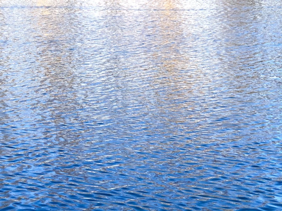 IMG_4039.jpg?type=w966