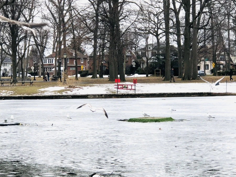 IMG_5868.jpg?type=w966