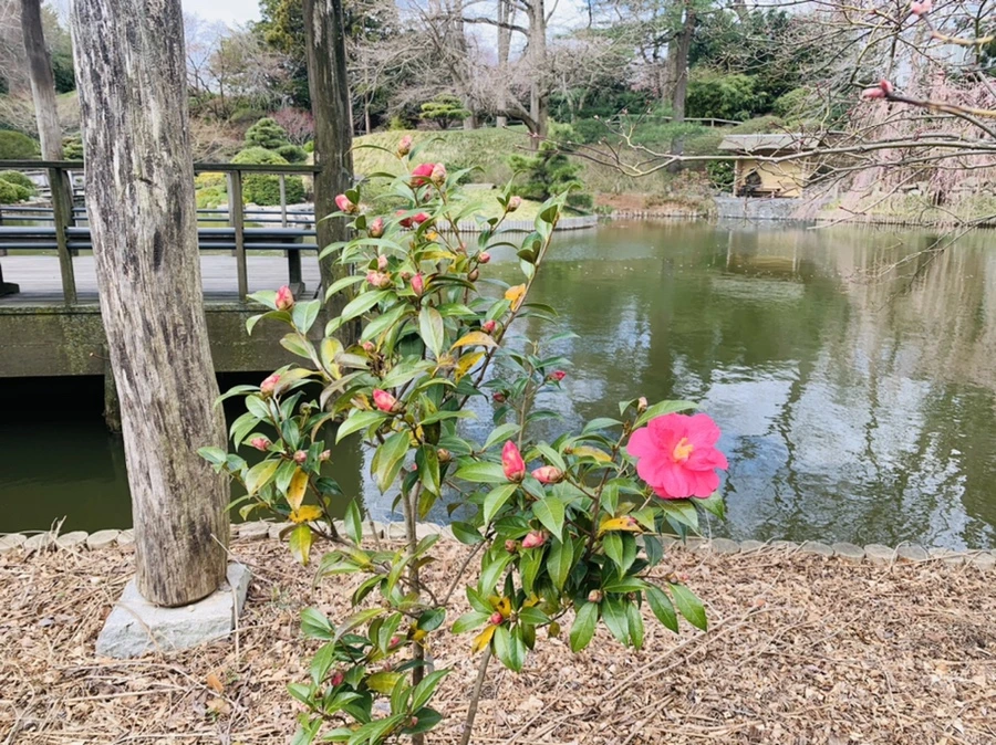 IMG_6393.jpg?type=w966