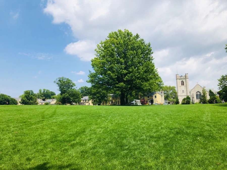 IMG_7210.jpg?type=w966