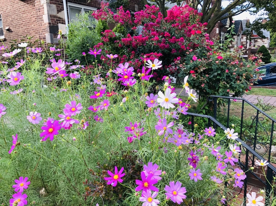 IMG_8911.jpg?type=w966