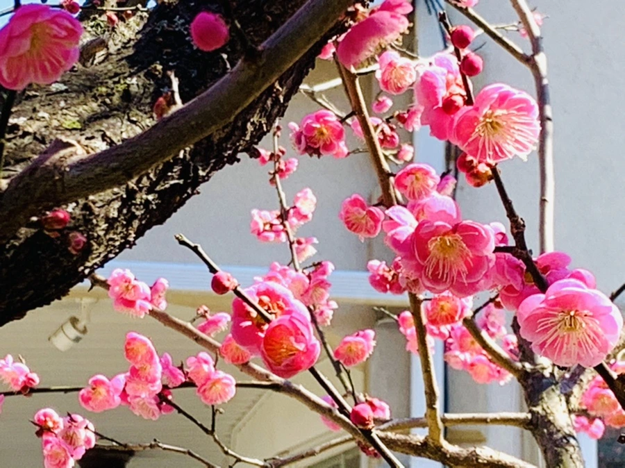 IMG_3024.jpg?type=w966