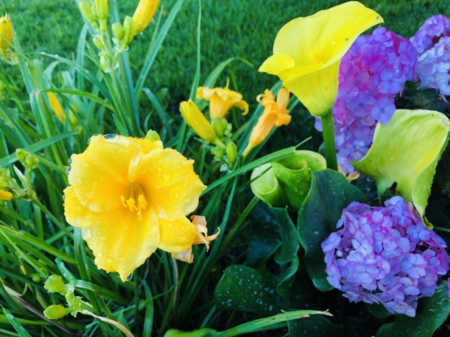 IMG_0071.jpg?type=w966