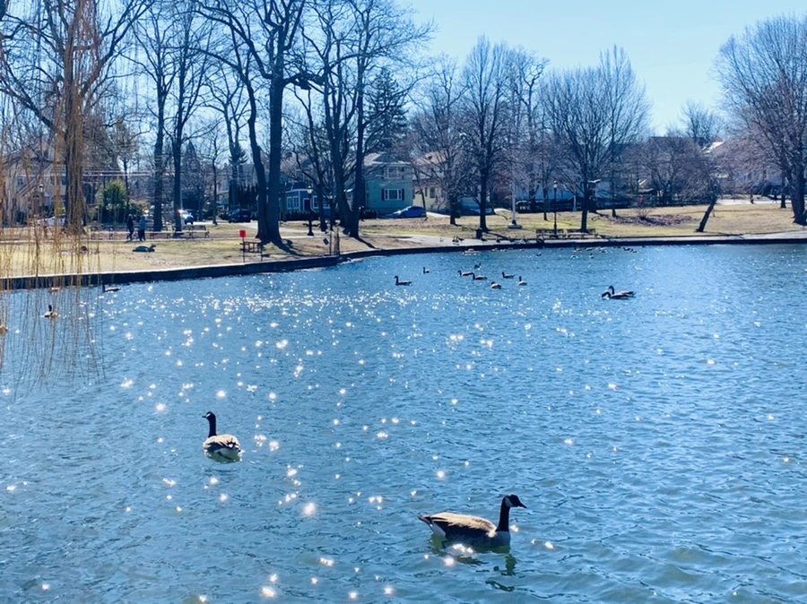 IMG_7590.jpg?type=w966