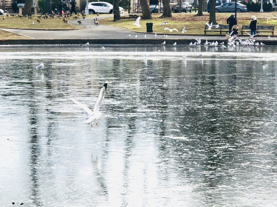 IMG_2057.jpg?type=w966