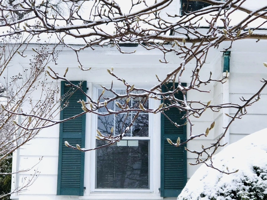 IMG_3551.jpg?type=w966